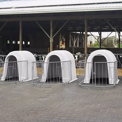 Calf-Hutches-1